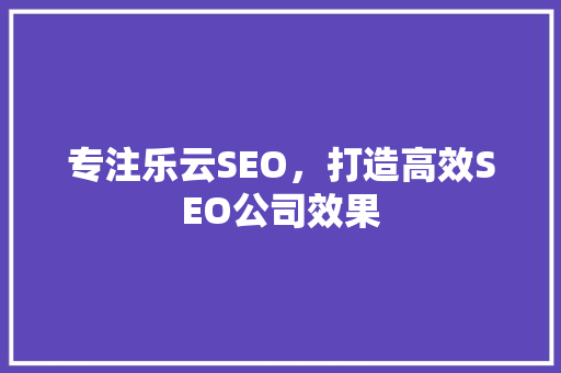 专注乐云SEO，打造高效SEO公司效果