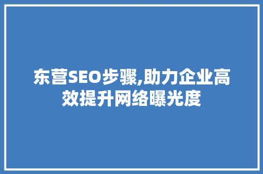 东营SEO步骤,助力企业高效提升网络曝光度