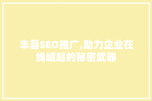 丰县SEO推广,助力企业在线崛起的秘密武器