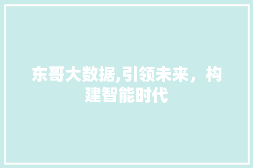 东哥大数据,引领未来，构建智能时代