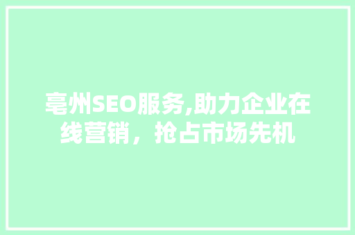 亳州SEO服务,助力企业在线营销，抢占市场先机
