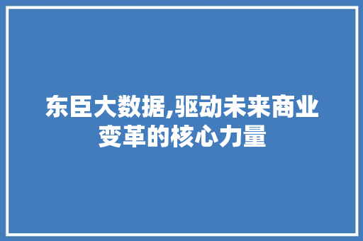 东臣大数据,驱动未来商业变革的核心力量