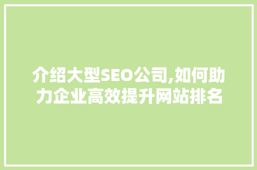 介绍大型SEO公司,如何助力企业高效提升网站排名