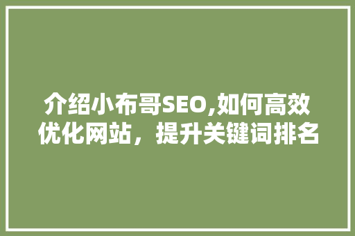介绍小布哥SEO,如何高效优化网站，提升关键词排名