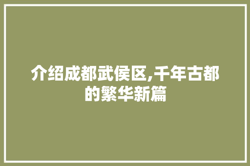 介绍成都武侯区,千年古都的繁华新篇