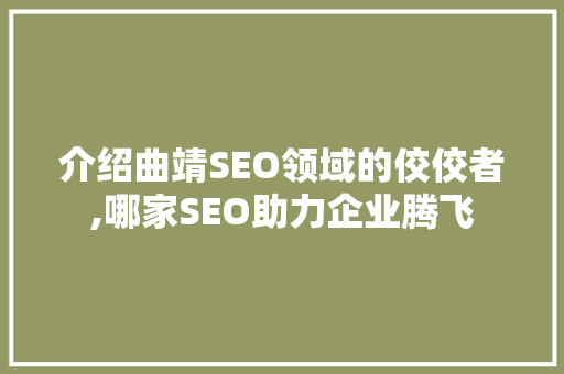 介绍曲靖SEO领域的佼佼者,哪家SEO助力企业腾飞