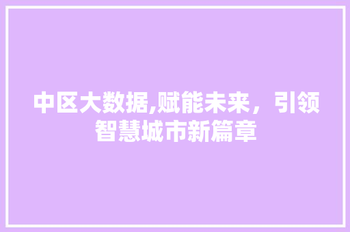 中区大数据,赋能未来，引领智慧城市新篇章