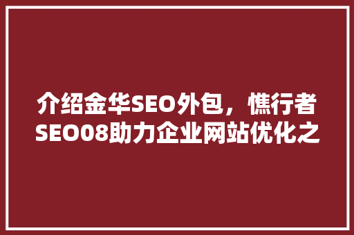 介绍金华SEO外包，憔行者SEO08助力企业网站优化之路