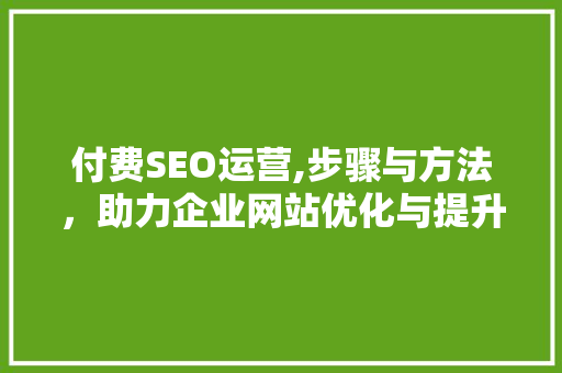 付费SEO运营,步骤与方法，助力企业网站优化与提升