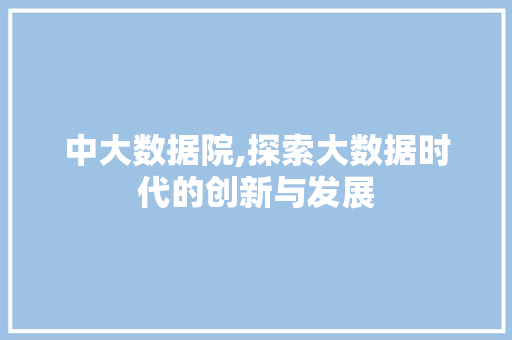 中大数据院,探索大数据时代的创新与发展