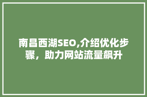 南昌西湖SEO,介绍优化步骤，助力网站流量飙升