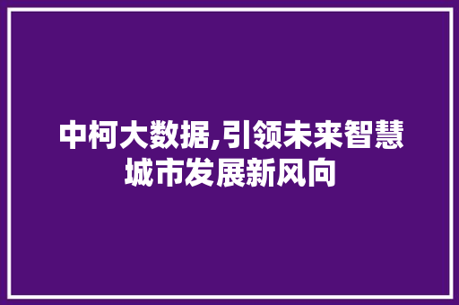 中柯大数据,引领未来智慧城市发展新风向