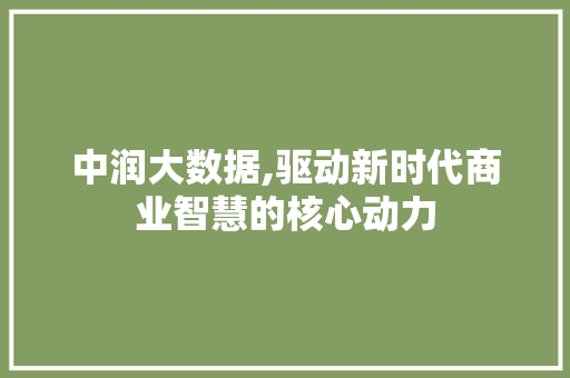 中润大数据,驱动新时代商业智慧的核心动力