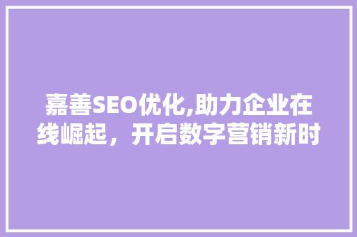 嘉善SEO优化,助力企业在线崛起，开启数字营销新时代