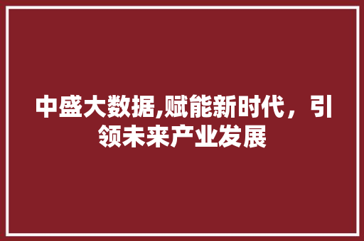中盛大数据,赋能新时代，引领未来产业发展