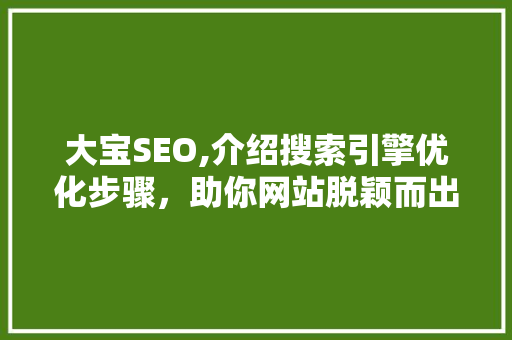 大宝SEO,介绍搜索引擎优化步骤，助你网站脱颖而出