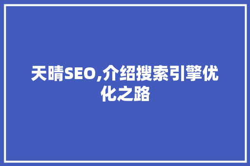 天晴SEO,介绍搜索引擎优化之路