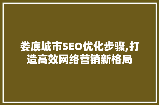 娄底城市SEO优化步骤,打造高效网络营销新格局