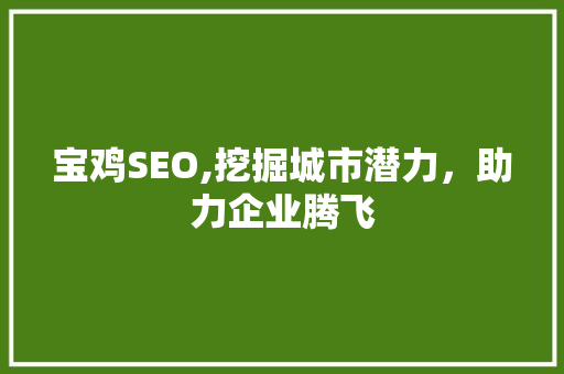 宝鸡SEO,挖掘城市潜力，助力企业腾飞