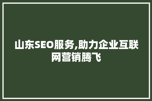 山东SEO服务,助力企业互联网营销腾飞