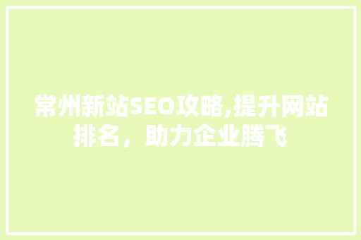 常州新站SEO攻略,提升网站排名，助力企业腾飞