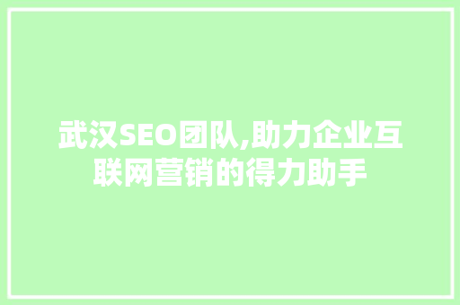 武汉SEO团队,助力企业互联网营销的得力助手