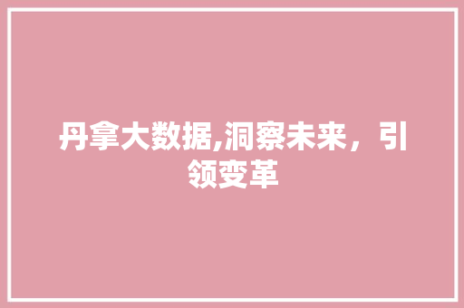 丹拿大数据,洞察未来，引领变革