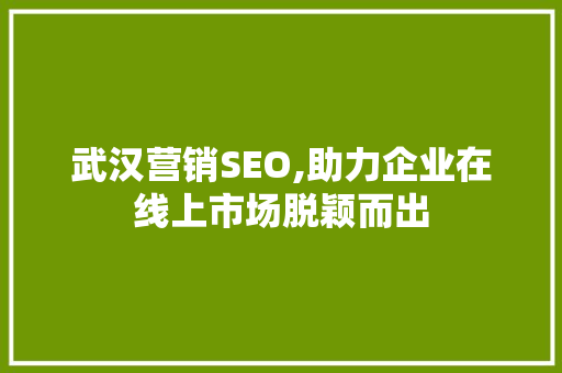 武汉营销SEO,助力企业在线上市场脱颖而出