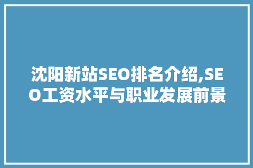 沈阳新站SEO排名介绍,SEO工资水平与职业发展前景