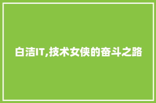 白洁IT,技术女侠的奋斗之路