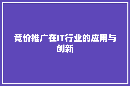 竞价推广在IT行业的应用与创新 前端技术
