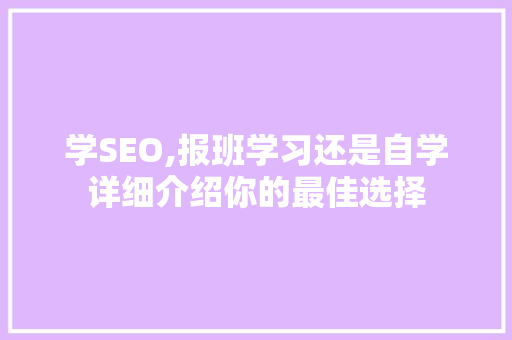 学SEO,报班学习还是自学详细介绍你的最佳选择