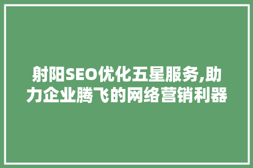 射阳SEO优化五星服务,助力企业腾飞的网络营销利器