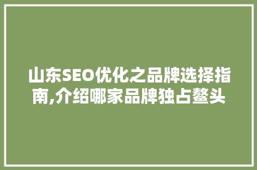 山东SEO优化之品牌选择指南,介绍哪家品牌独占鳌头