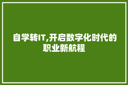 自学转IT,开启数字化时代的职业新航程 网站建设