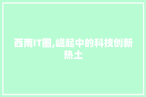 西南IT圈,崛起中的科技创新热土