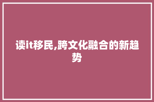 读it移民,跨文化融合的新趋势 项目报告