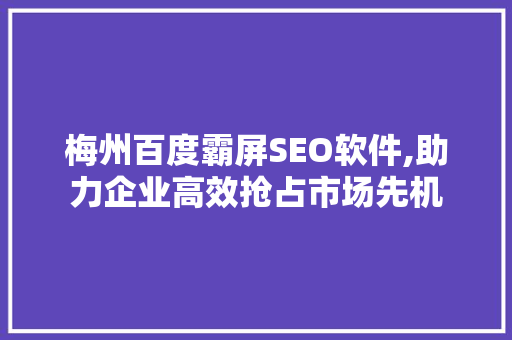 梅州百度霸屏SEO软件,助力企业高效抢占市场先机