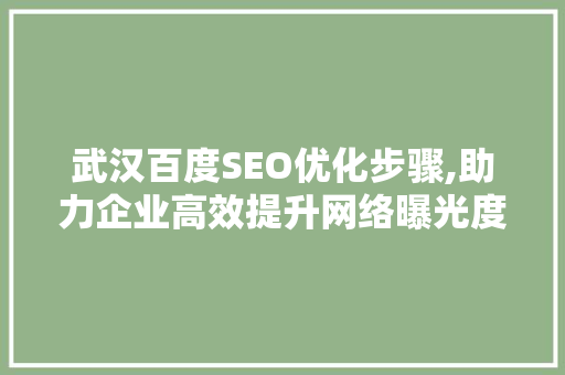 武汉百度SEO优化步骤,助力企业高效提升网络曝光度