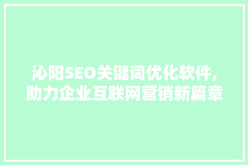 沁阳SEO关键词优化软件,助力企业互联网营销新篇章