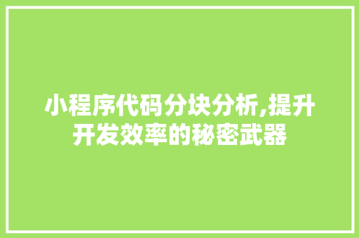 小程序代码分块分析,提升开发效率的秘密武器
