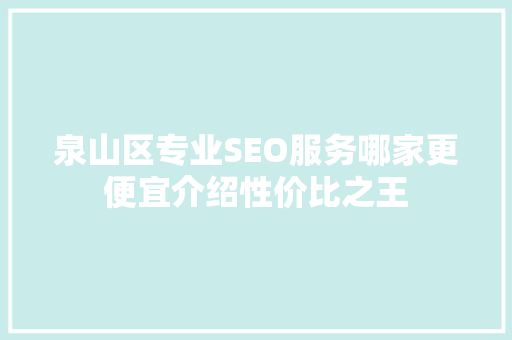 泉山区专业SEO服务哪家更便宜介绍性价比之王