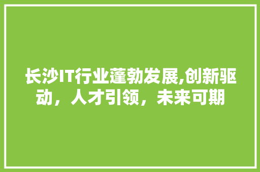 长沙IT行业蓬勃发展,创新驱动，人才引领，未来可期