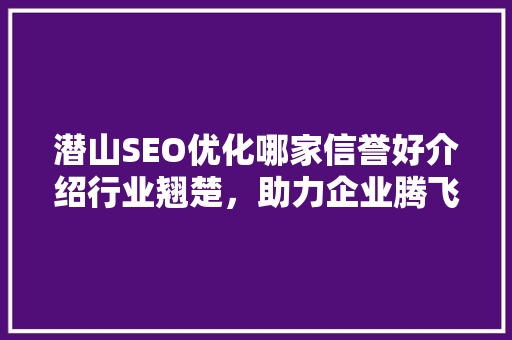 潜山SEO优化哪家信誉好介绍行业翘楚，助力企业腾飞！