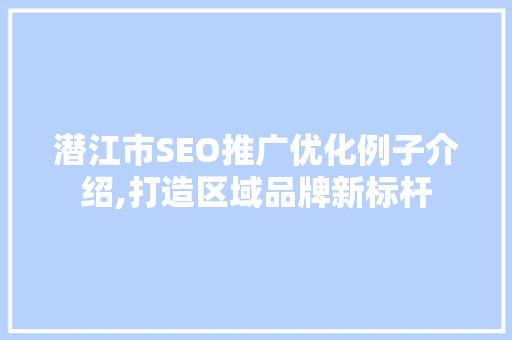 潜江市SEO推广优化例子介绍,打造区域品牌新标杆