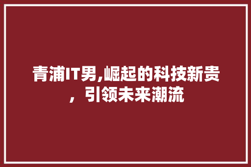 青浦IT男,崛起的科技新贵，引领未来潮流