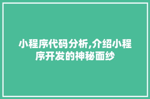 小程序代码分析,介绍小程序开发的神秘面纱 市场营销范文