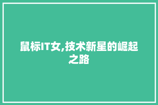 鼠标IT女,技术新星的崛起之路 市场营销范文