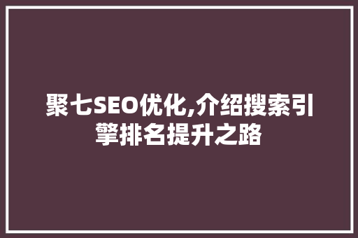 聚七SEO优化,介绍搜索引擎排名提升之路