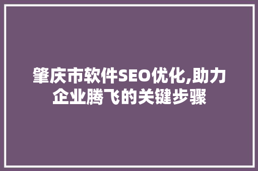 肇庆市软件SEO优化,助力企业腾飞的关键步骤